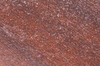 對(duì)于家里灰塵的清理，有什么方法嗎？